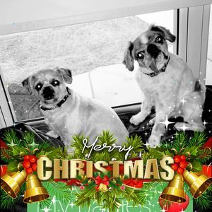 Meet your Posher, Tara jo